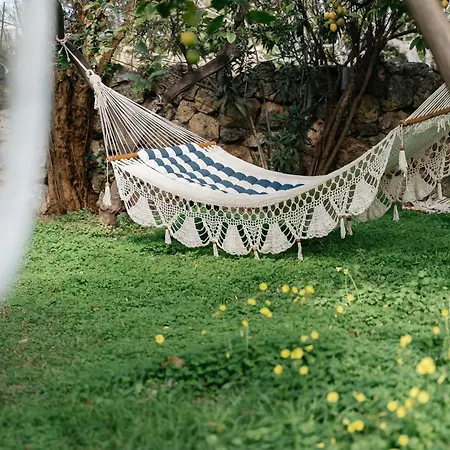 Artemis Maison d'hôtes Kamari (Corinthia)