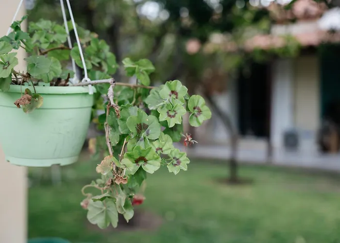 Artemis בית הארחה 3*